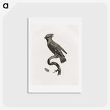 1-55_Des-Oiseaux-de-Paradis_hagaki
