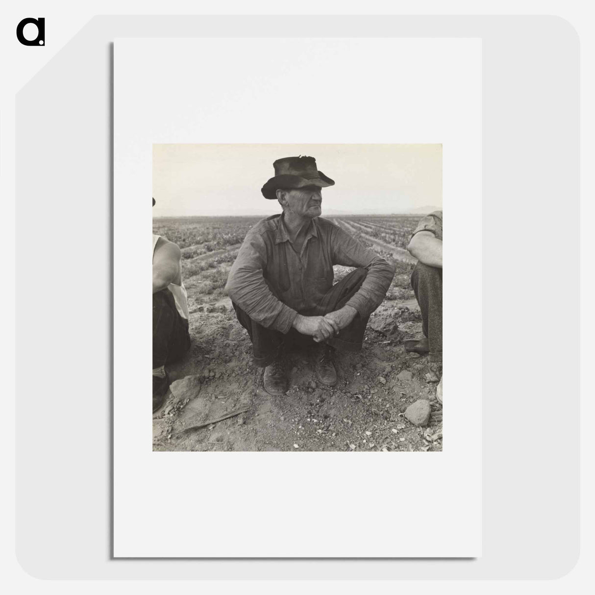 Waiting for Work on Edge of the Pea Field, Holtville, Imperial Valley, California - Dorothea Lange Poster.