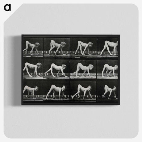 1-55_Eadweard-Muybridge_blk-crop