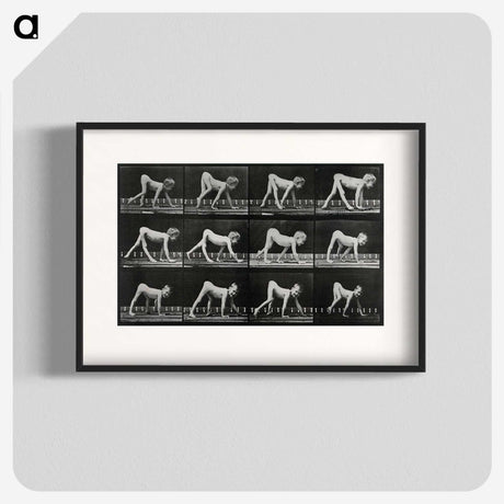 1-55_Eadweard-Muybridge_blk