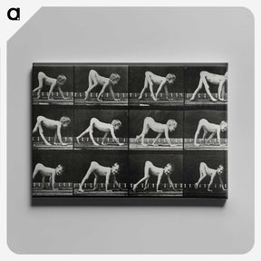 1-55_Eadweard-Muybridge_canvas