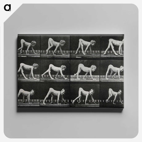1-55_Eadweard-Muybridge_canvas