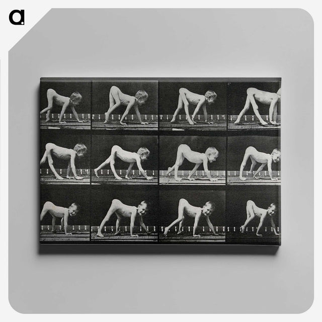 1-55_Eadweard-Muybridge_canvas