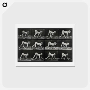アートポストカード-Paralytic Child Walking
 - エドワード マイブリッジ Postcard.