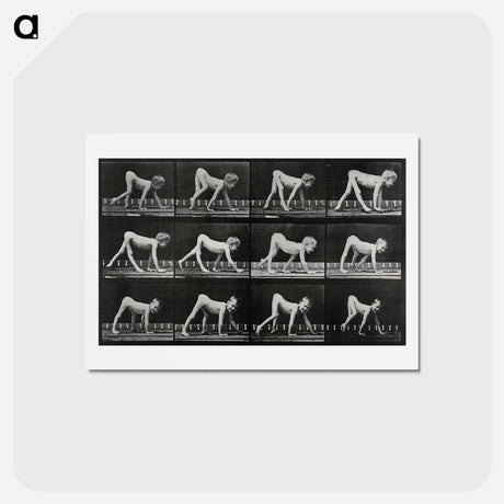 アートポストカード-Paralytic Child Walking
 - エドワード マイブリッジ Postcard.
