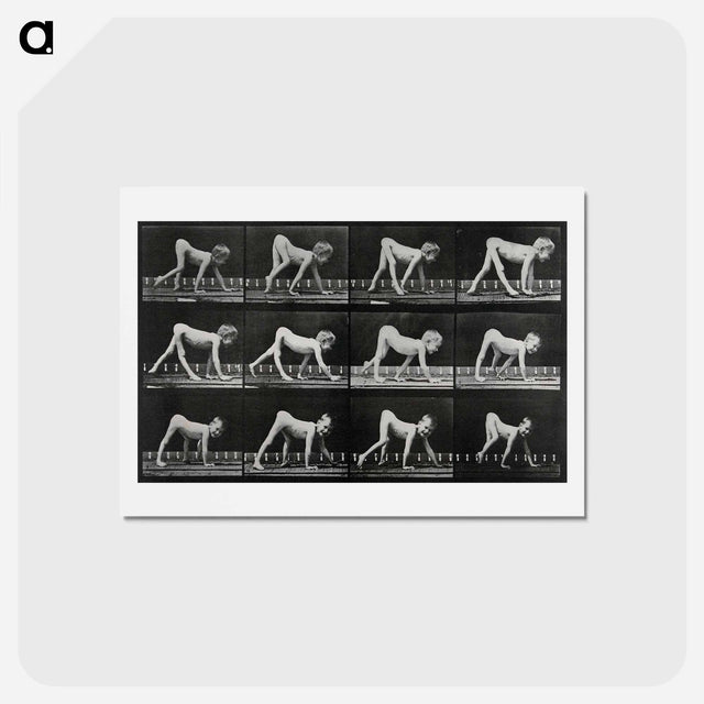 アートポストカード-Paralytic Child Walking
 - エドワード マイブリッジ Postcard.