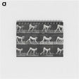 1-55_Eadweard-Muybridge_memo