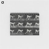 1-55_Eadweard-Muybridge_memo