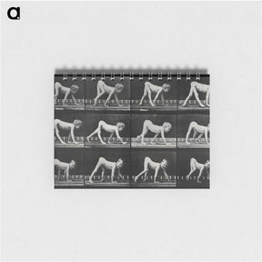 1-55_Eadweard-Muybridge_memo