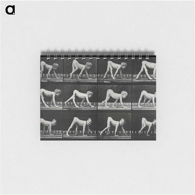 1-55_Eadweard-Muybridge_memo