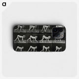 1-55_Eadweard-Muybridge_phone