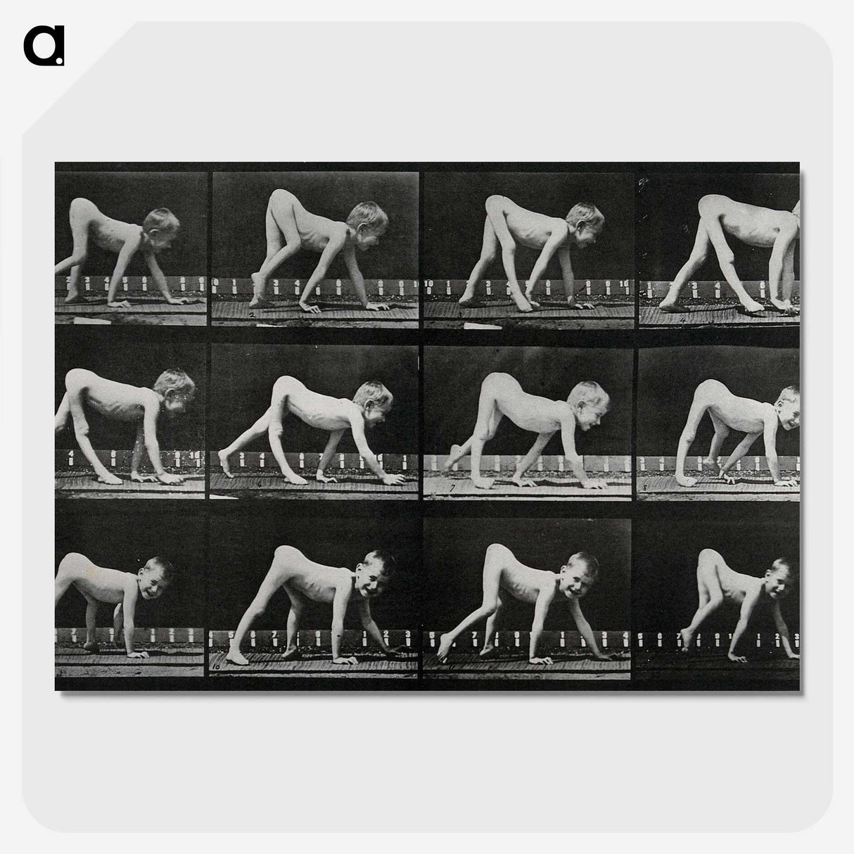 1-55_Eadweard-Muybridge_picture-crop