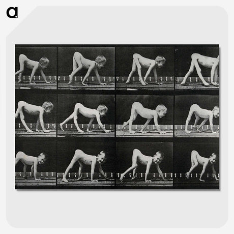 1-55_Eadweard-Muybridge_picture-crop