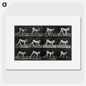 1-55_Eadweard-Muybridge_picture