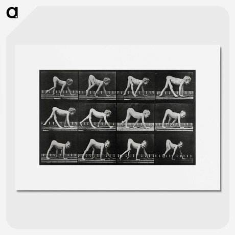 1-55_Eadweard-Muybridge_picture