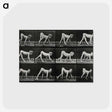 1-55_Eadweard-Muybridge_postcard