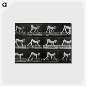 1-55_Eadweard-Muybridge_postcard