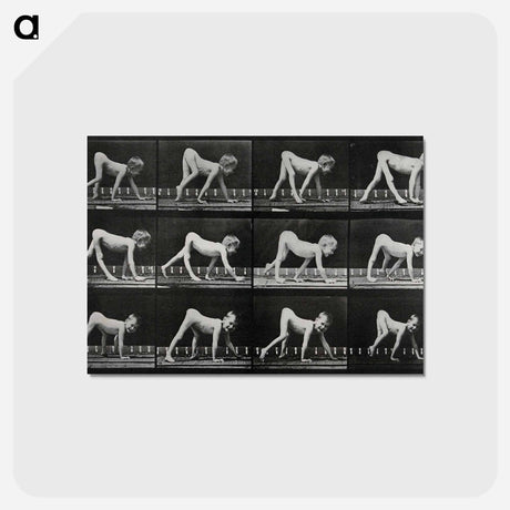 アートポストカード-Paralytic Child Walking
 - エドワード マイブリッジ Postcard.