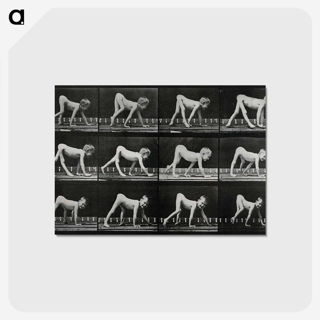 1-55_Eadweard-Muybridge_postcard