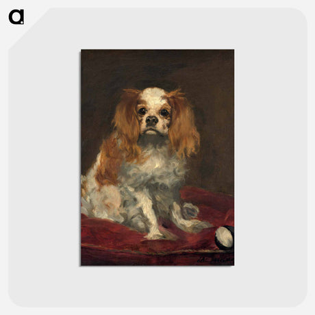 アートポストカード-A King Charles Spaniel - エドゥアール マネ Postcard.