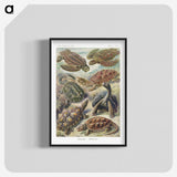 1-55_Ernst-Haeckel_blk-crop