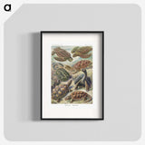 1-55_Ernst-Haeckel_blk