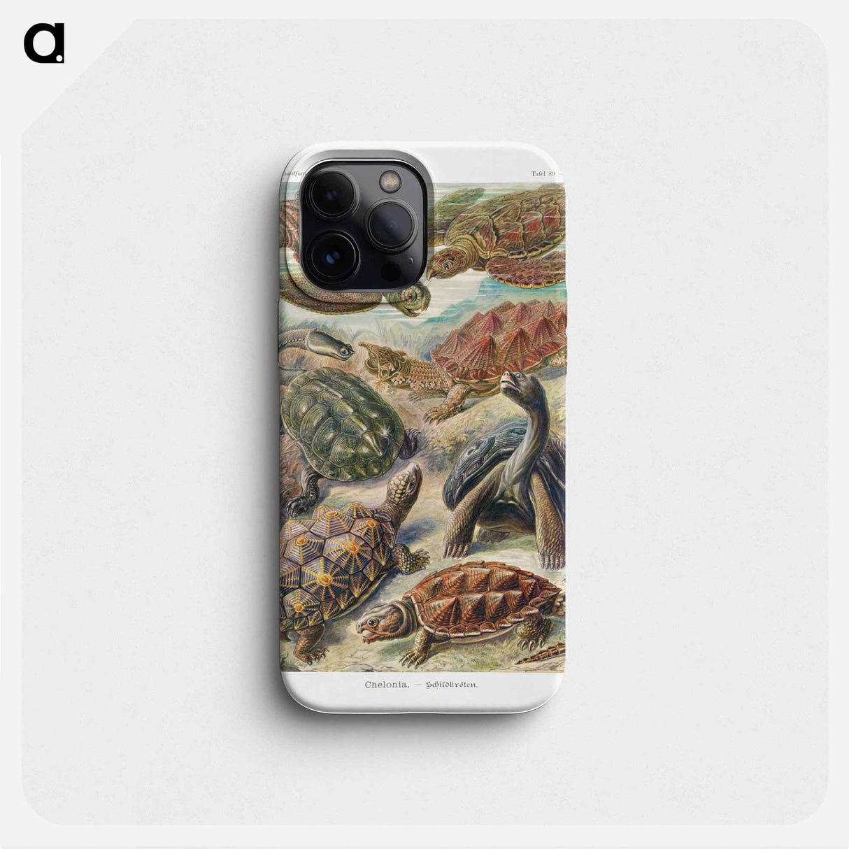 Chelonia–Schildkröten - エルンスト ヘッケル Phone Case.