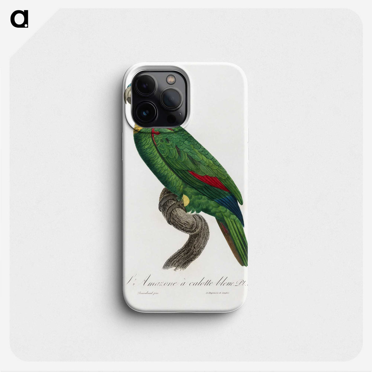1-55_Francois-Levaillant_phone