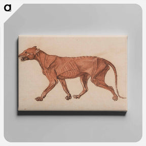 アートパネル-Tiger Body, Lateral View
 - ジョージ スタッブス Canvas.