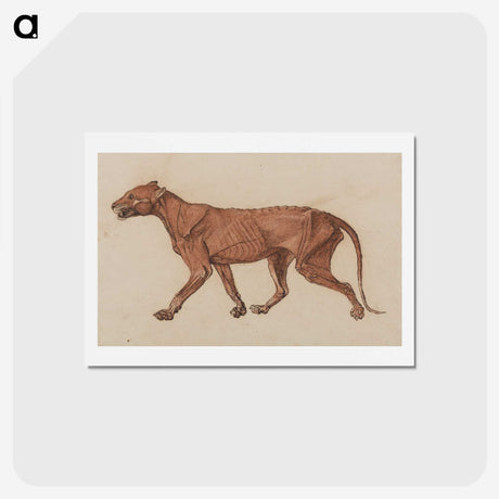 1-55_George-Stubbs_hagaki