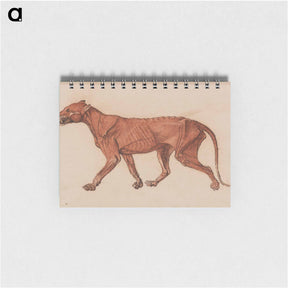 アートメモ帳-Tiger Body, Lateral View
 - ジョージ スタッブス Memo.