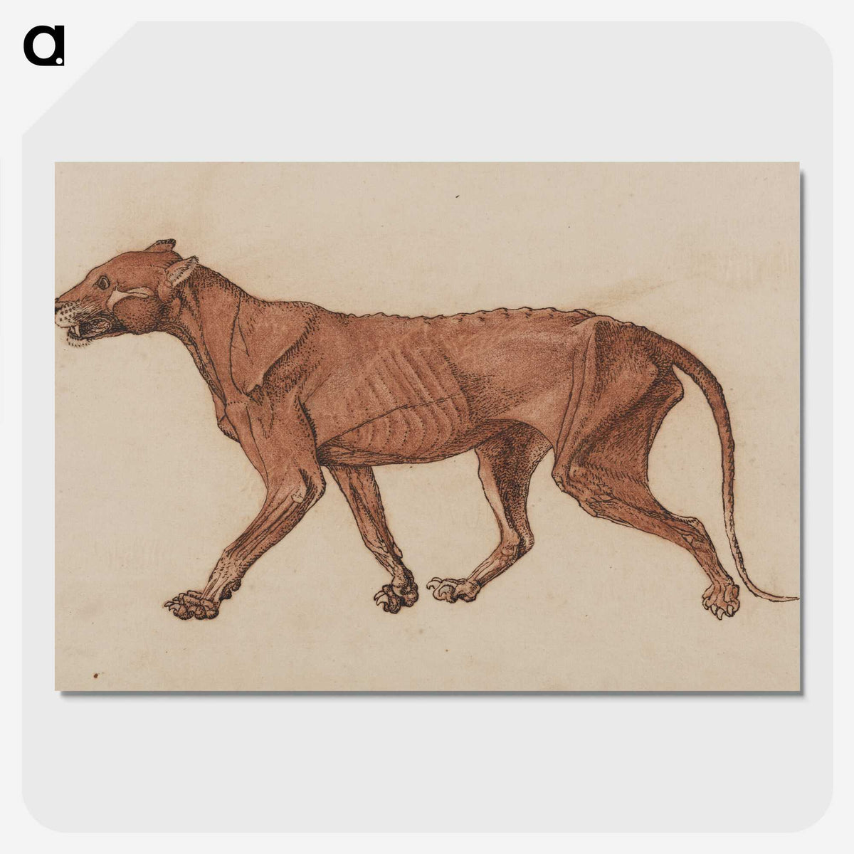1-55_George-Stubbs_picture-crop