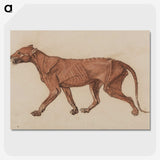 1-55_George-Stubbs_picture-crop