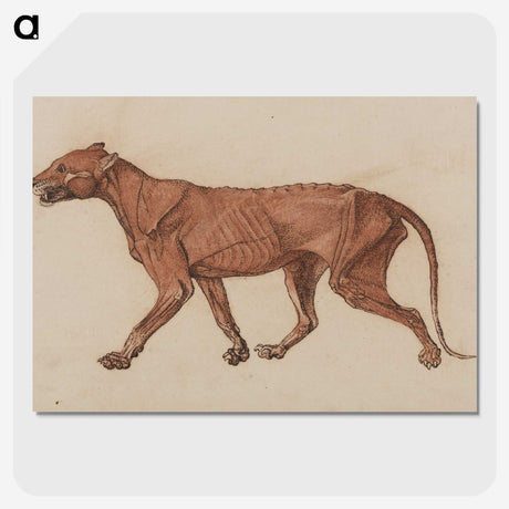 1-55_George-Stubbs_picture-crop