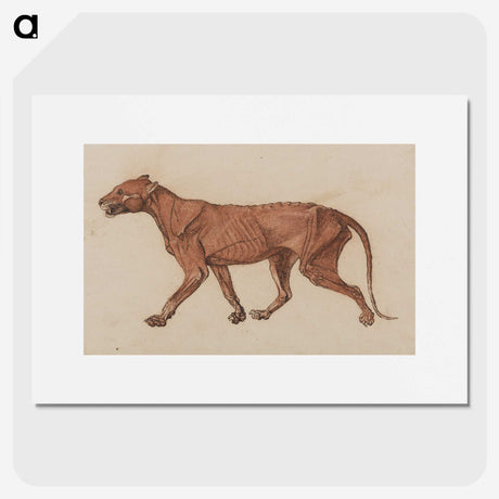 1-55_George-Stubbs_picture