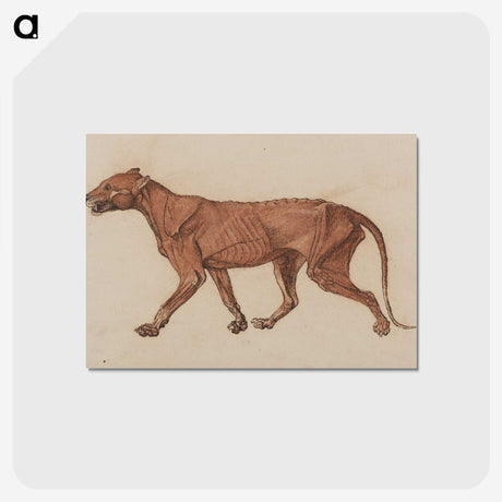 1-55_George-Stubbs_postcard