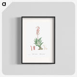1-55_Histoire-des-Plantes-Grasses_blk