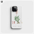 1-55_Histoire-des-Plantes-Grasses_phone