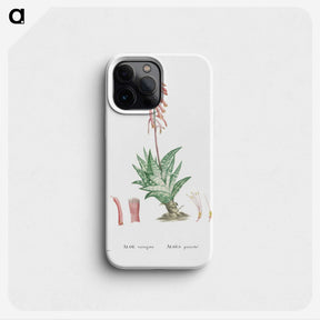 1-55_Histoire-des-Plantes-Grasses_phone