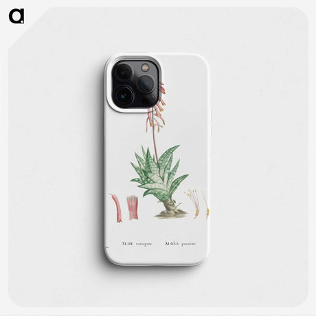 1-55_Histoire-des-Plantes-Grasses_phone