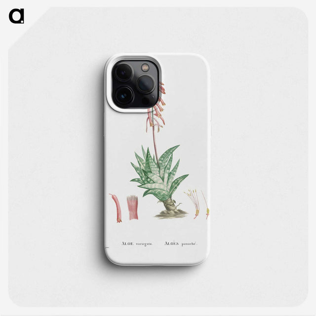 1-55_Histoire-des-Plantes-Grasses_phone