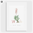 1-55_Histoire-des-Plantes-Grasses_picture