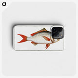1-55_Ichtyologie-ou-Histoire-naturelle_phone