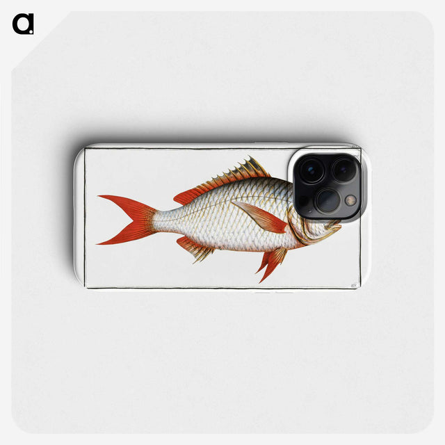 1-55_Ichtyologie-ou-Histoire-naturelle_phone