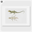 1-55_Indian-Zoology_picture