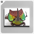 1-55_Insects-Unlocked-Project_canvas