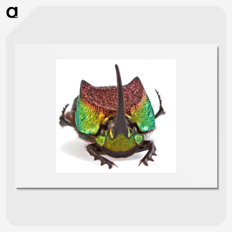1-55_Insects-Unlocked-Project_picture