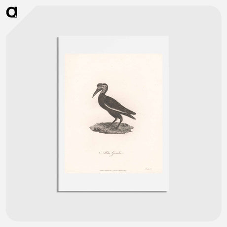 アートポストカード-Abba Gumba
 - ジェームス ヒース Postcard.