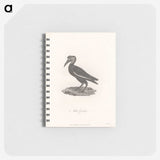 1-55_James-Heath_memo