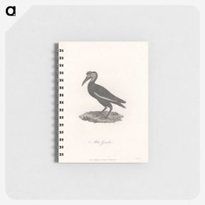 1-55_James-Heath_memo